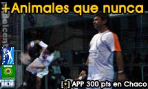 Padelcenter.com, especialistas en padel