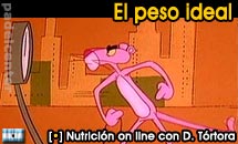 Diego Tórtora, nutricionista on line de Padelcenter.com